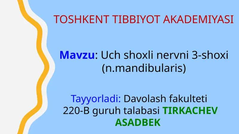 Uch shoxli nerv (n.mandibularis)