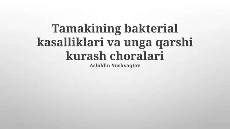 Tamakining bakterial kasalliklari va unga qarshi kurash choralari