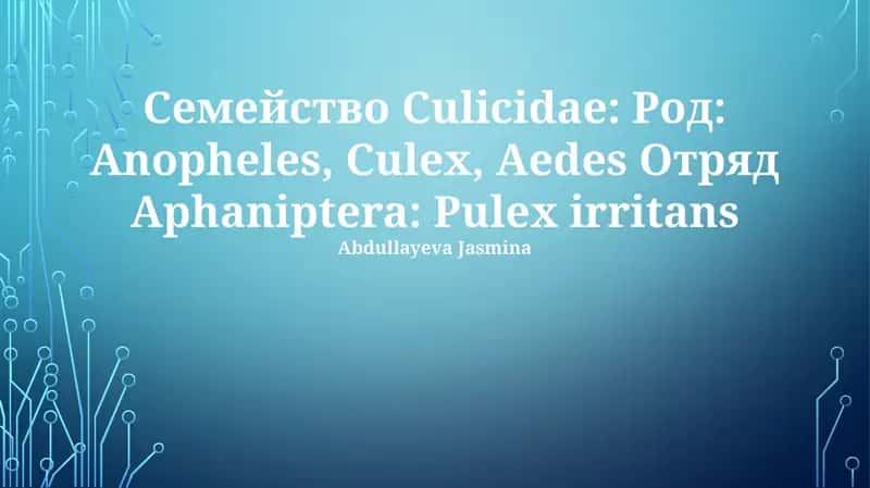 Биологические особенности родов Anopheles, Culex и Aedes