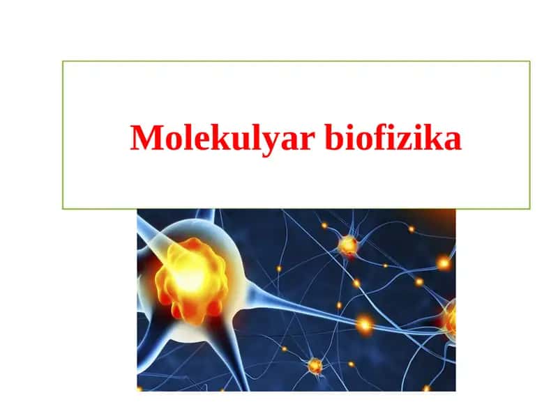 Molekulyarbiofizika