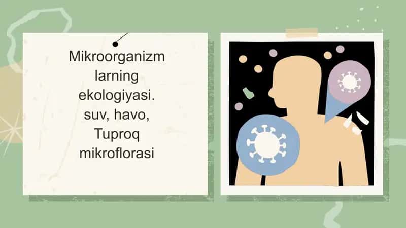 Mikroorganizm larning ekologiyasi
