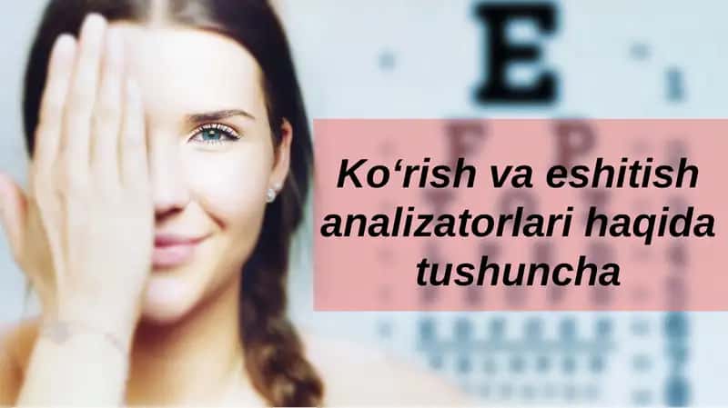 Ko‘rish va eshitish analizatorlari