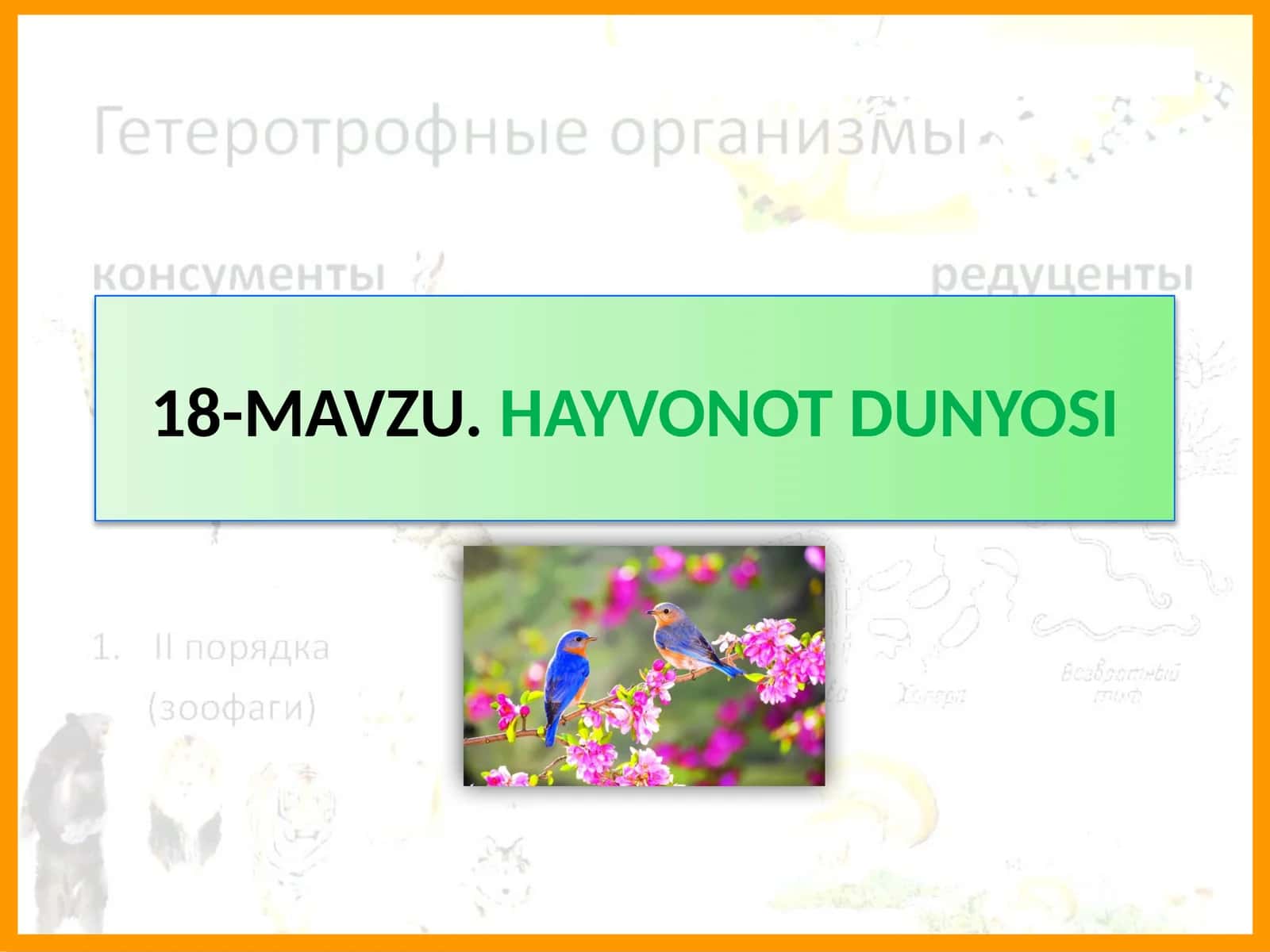 HAYVONOT DUNYOSI