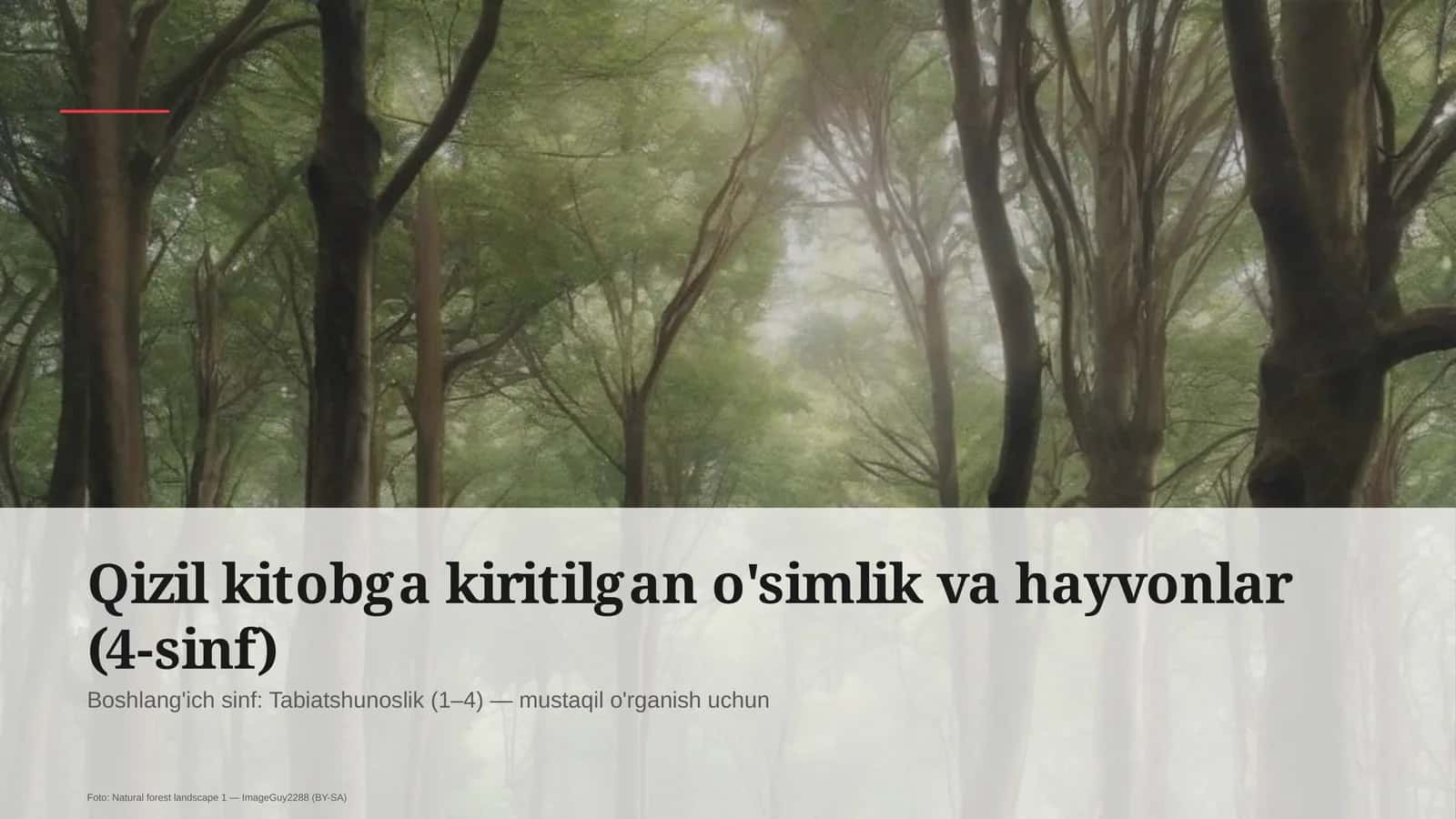 Qizil kitobga kiritilgan o'simlik va hayvonlar (4-sinf)