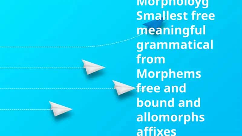 Morpheme Structure in Linguistics