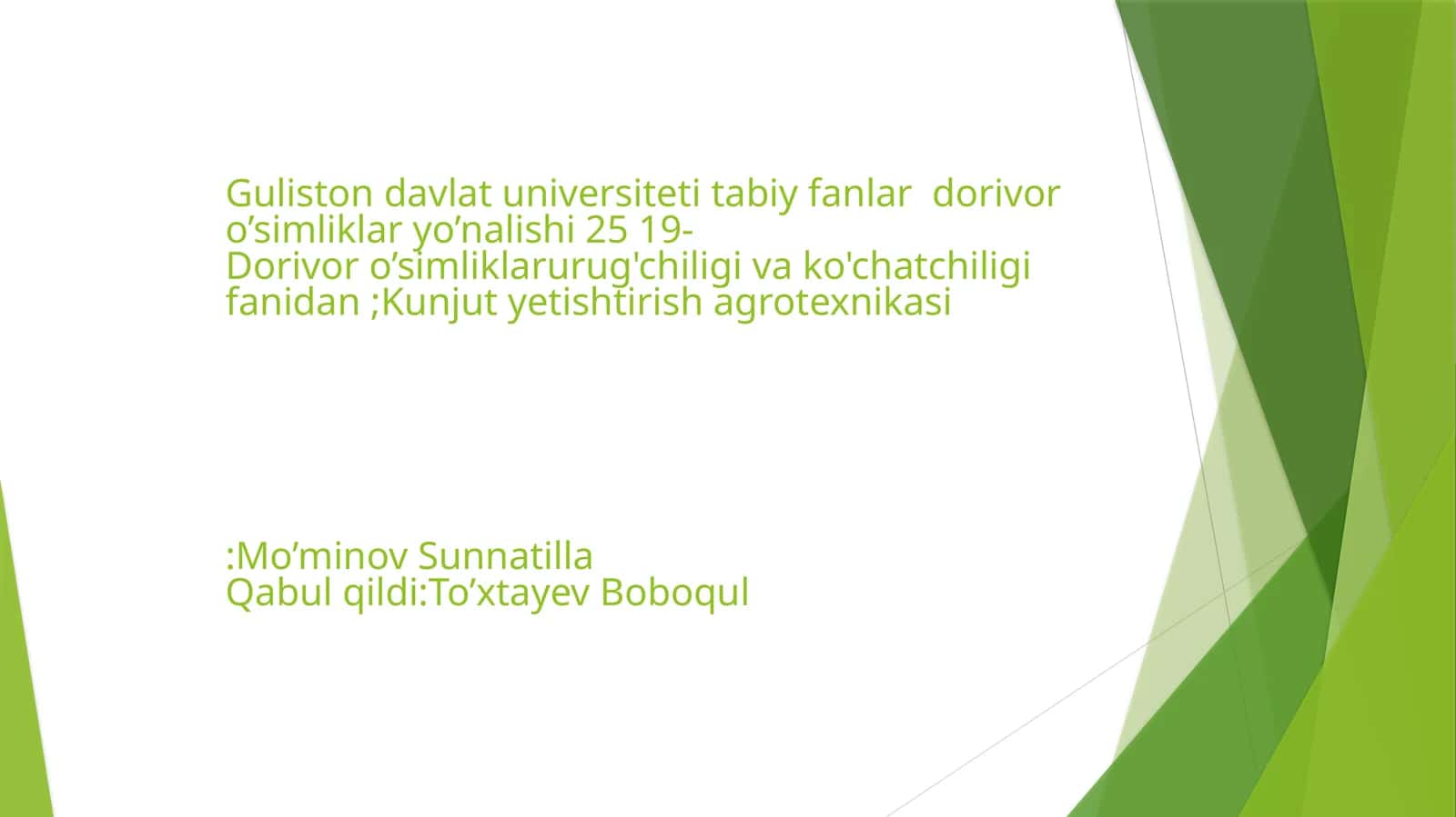 Kunjut yetishtirish agrotexnikasi