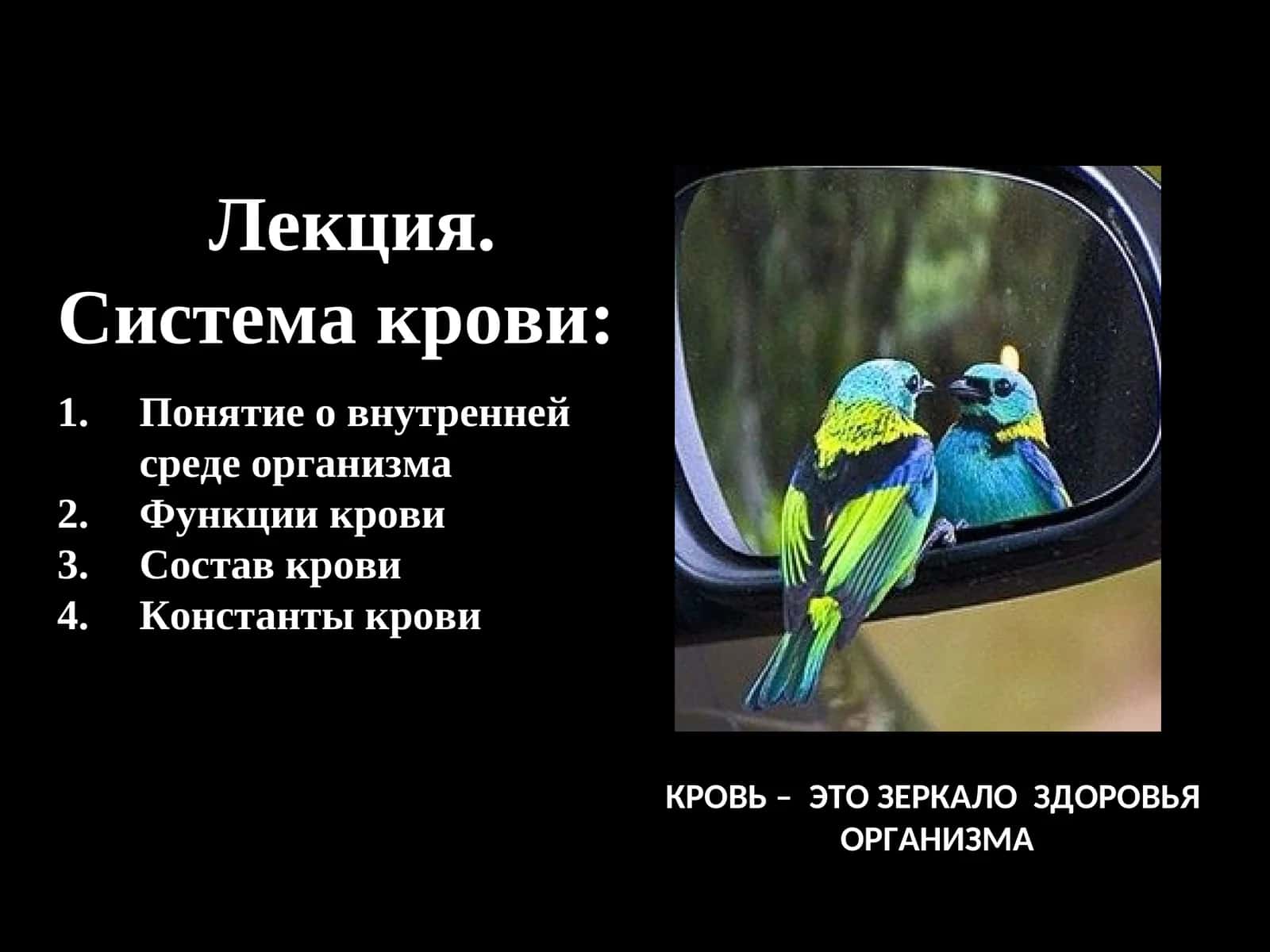 Кровь – это зеркало здоровья организма