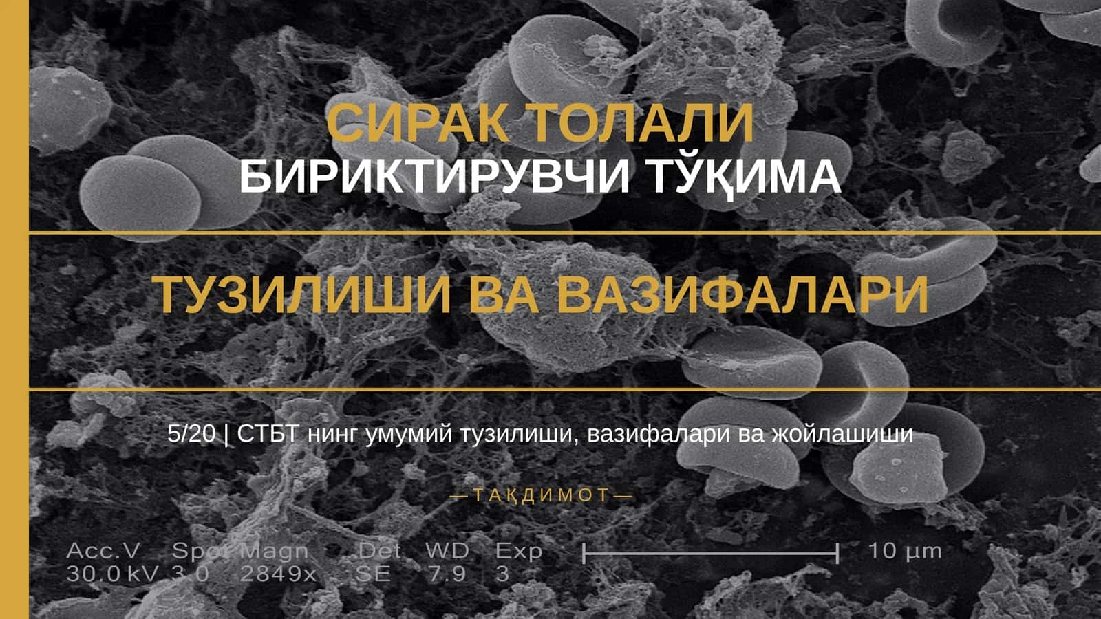 СИРАК ТОЛАЛИ БИРИКТИРУВЧИ ТЎҚИМА