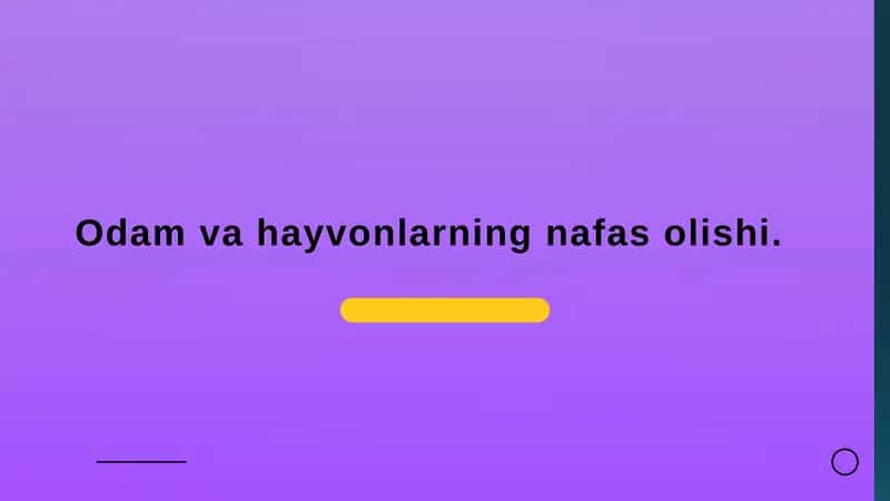Odamvahayvonlarning nafas olishi