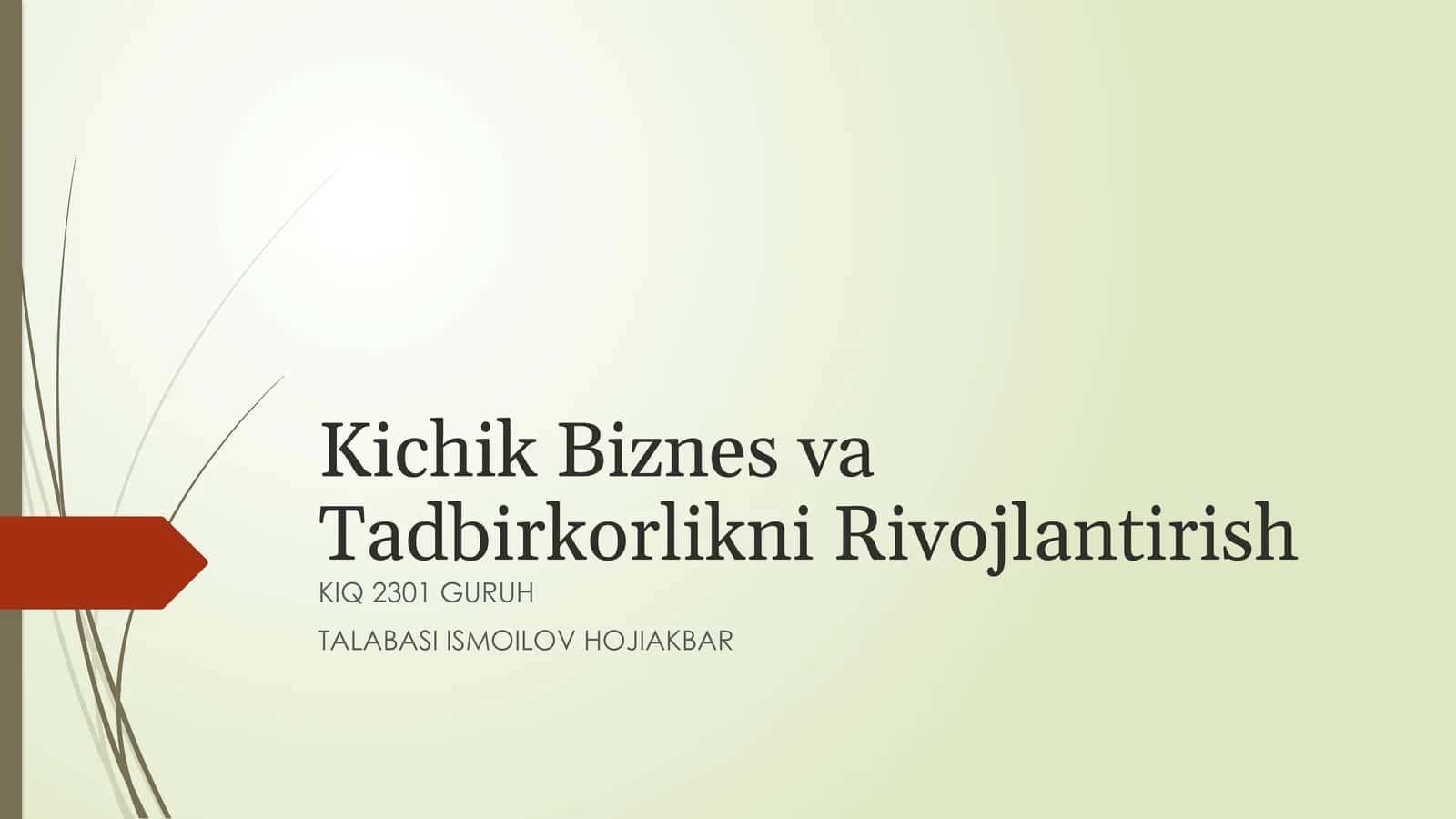 Kichik Biznes va Tadbirkorlikni Rivojlantirish: Oʻzbekiston Misolida