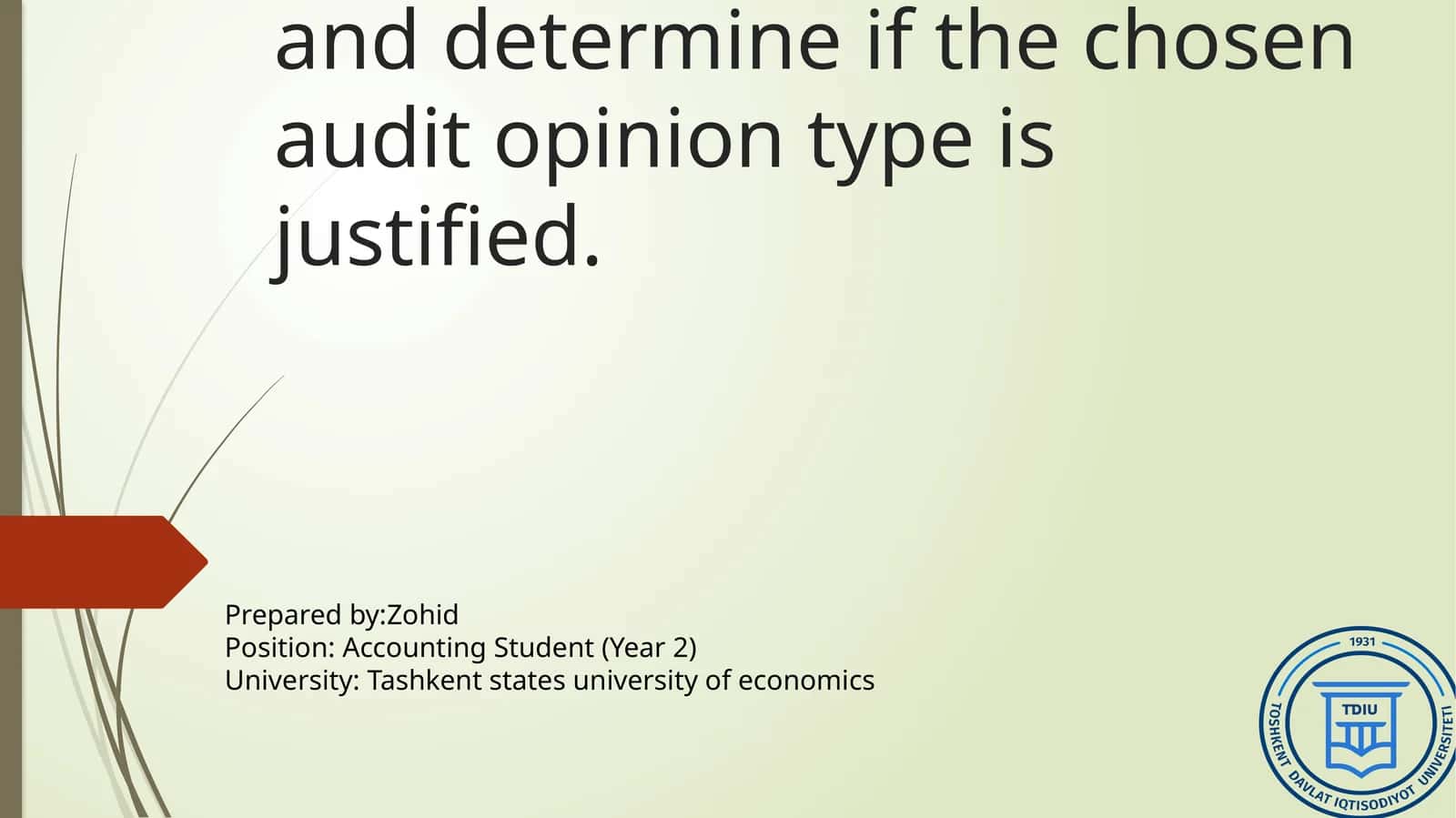 Audit Opinion Types