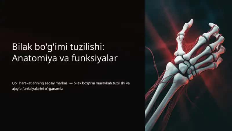 Bilak bo'g'imi tuzilishi: Anatomiya va funksiyalar