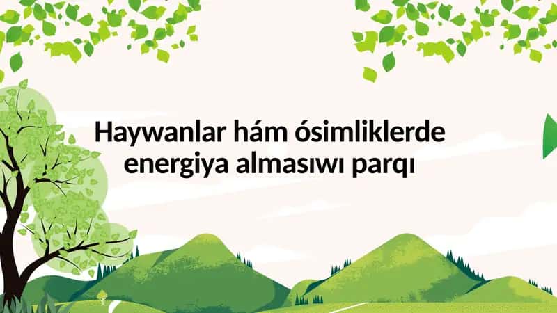 Haywanlar hám ósimliklerde energiya almasıwı parqı