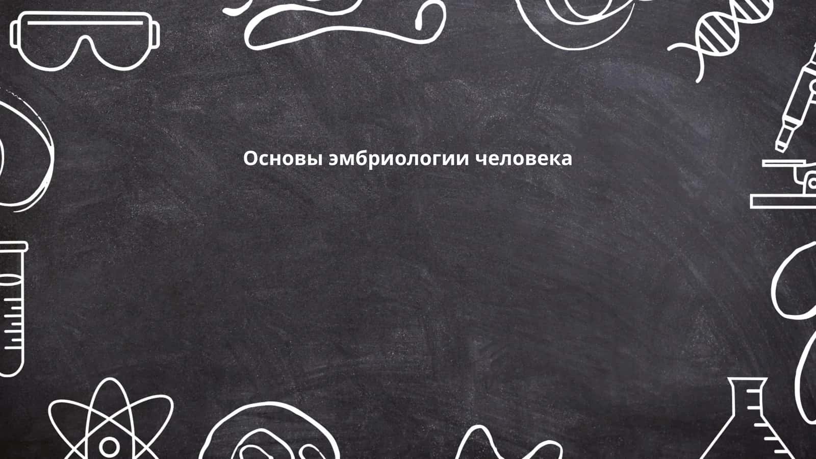 Основы эмбриологии человека