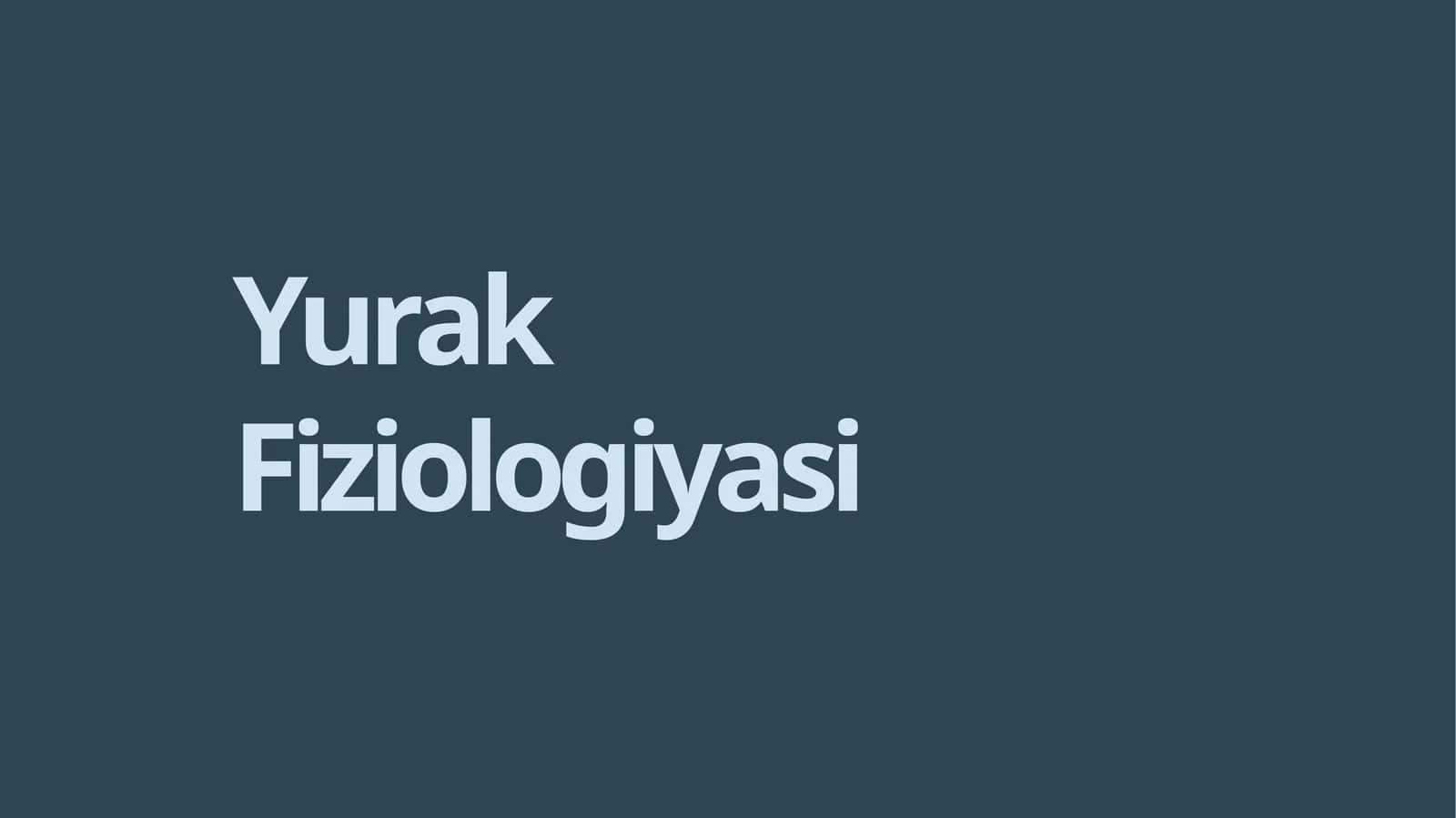 YurakFiziologiyasi