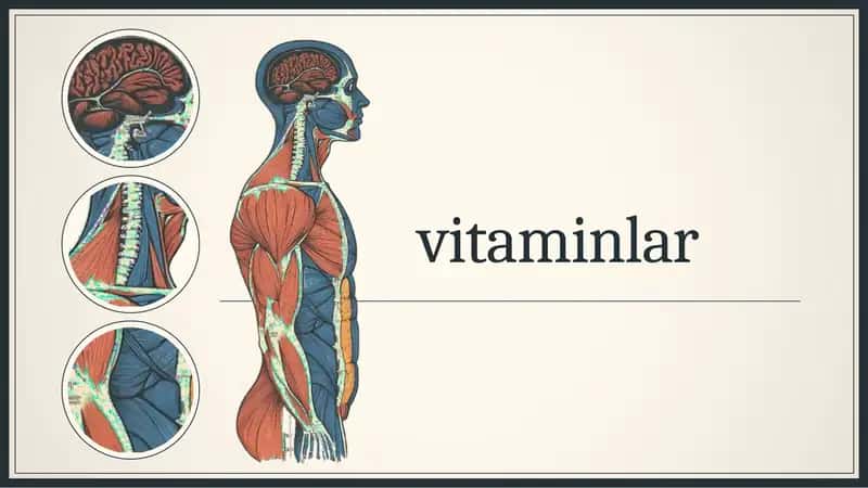 Vitaminlar