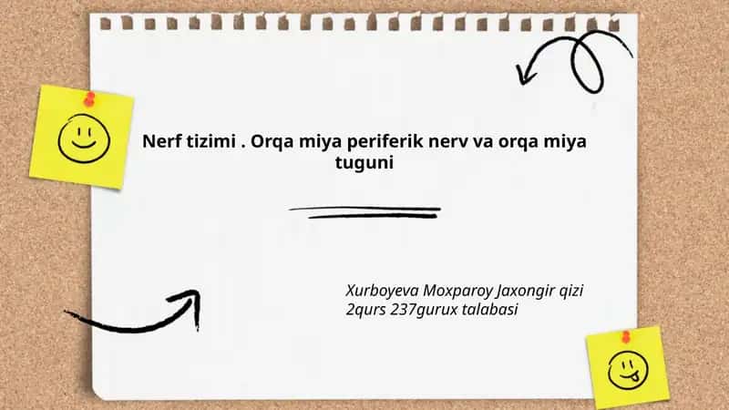 Nerf Tizimi