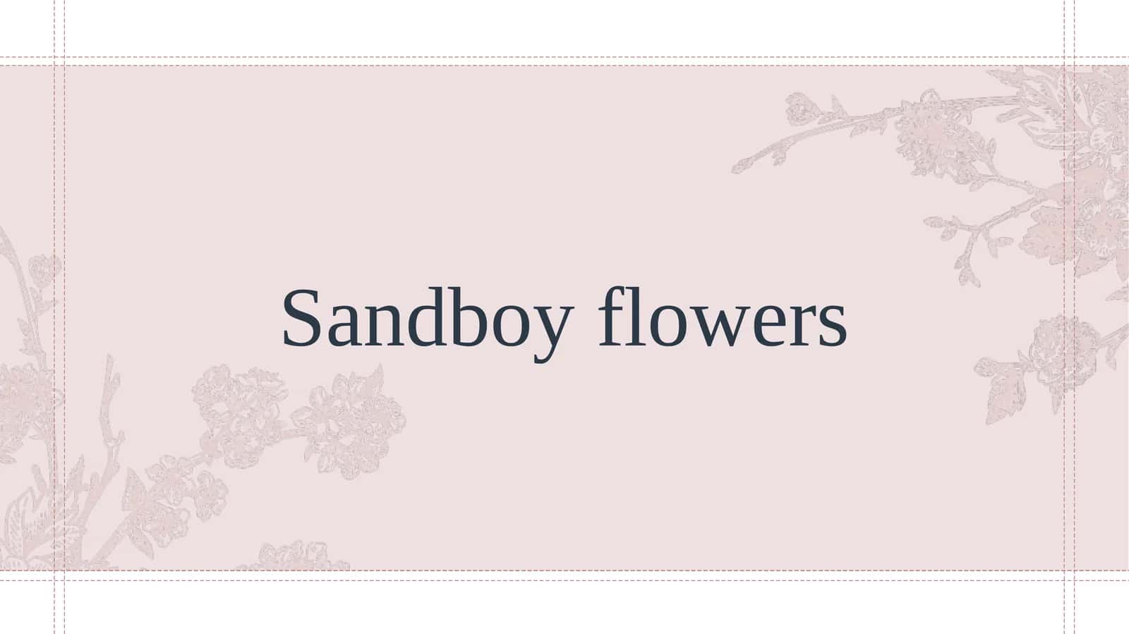 Sandboy flowers Biznes loyiha