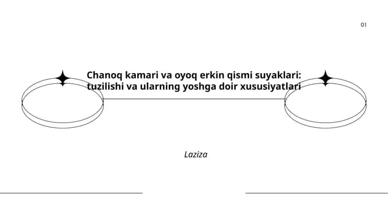 Suyaklarni o'rganamiz