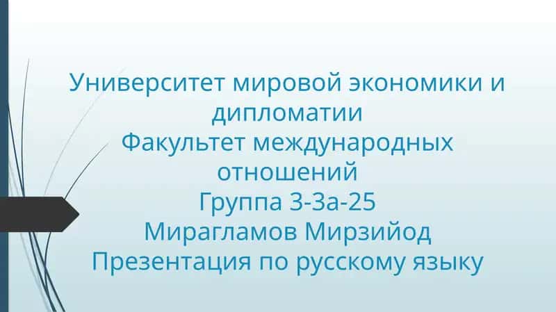 Презентация по русскому языку