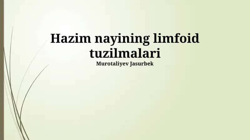 Hazim nayining limfoid tuzilmalari