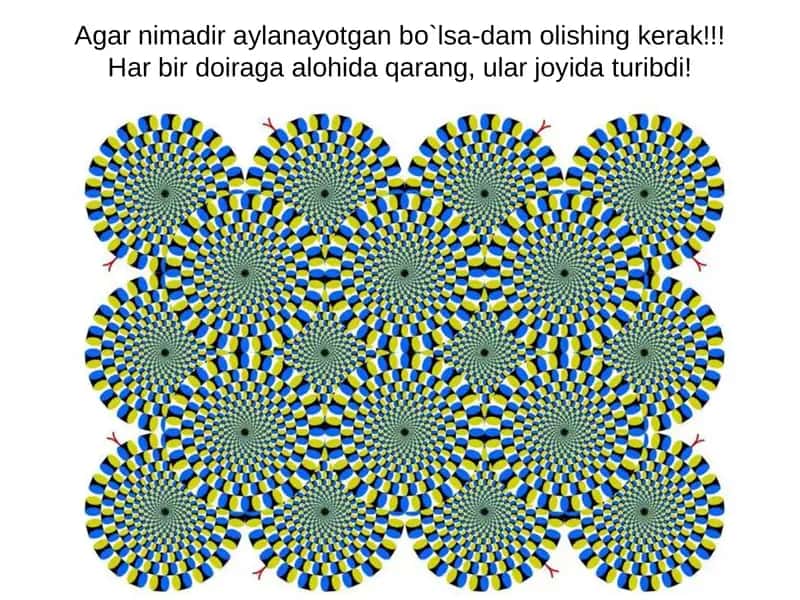 ong nimaga qodir