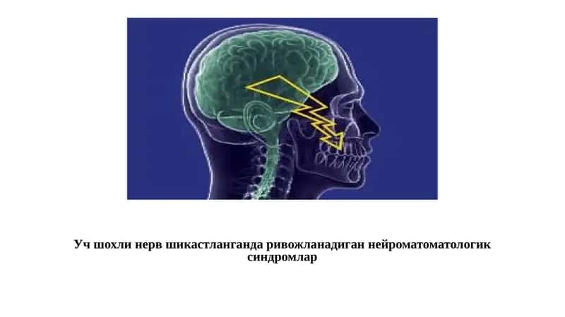 Учшохли нерв