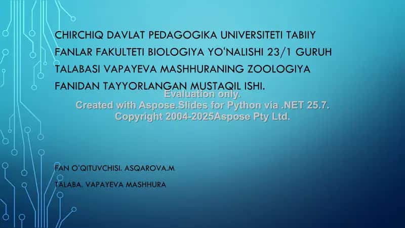 Chayonlar tuzilishi va hayot kechirishi