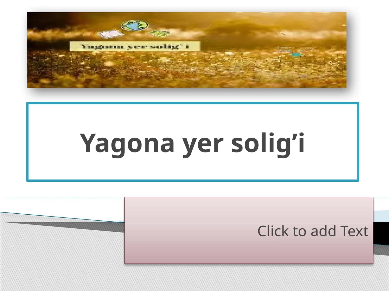 Yagona yer solig’i