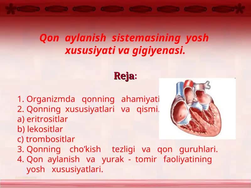 Qon aylanishsistemasining yosh xususiyati va gigiyenasi