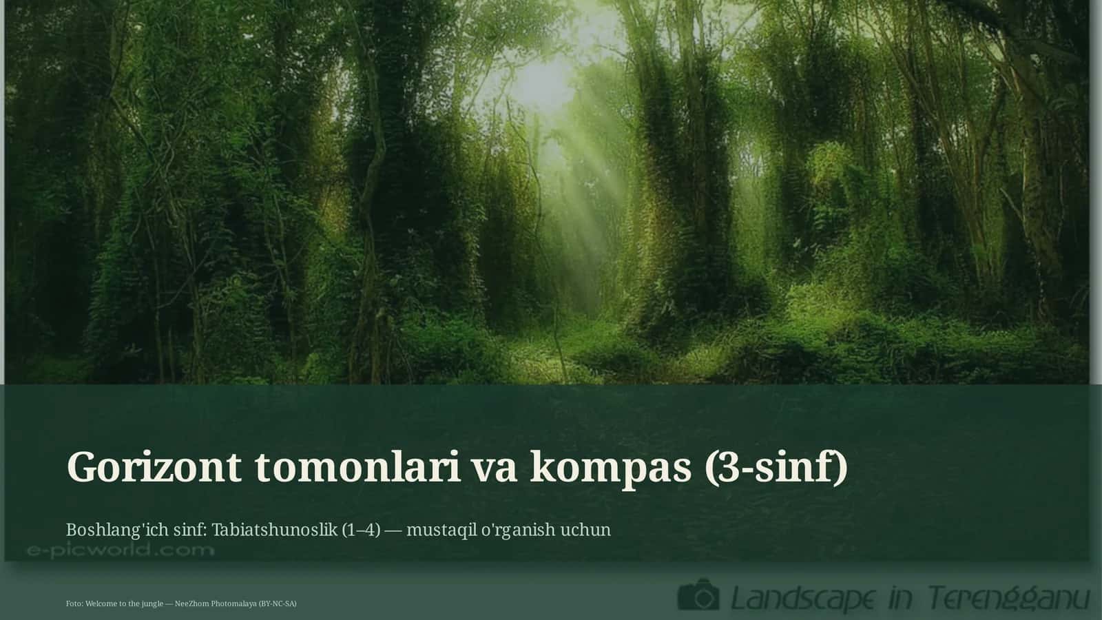 Gorizont tomonlari va kompas (3-sinf)