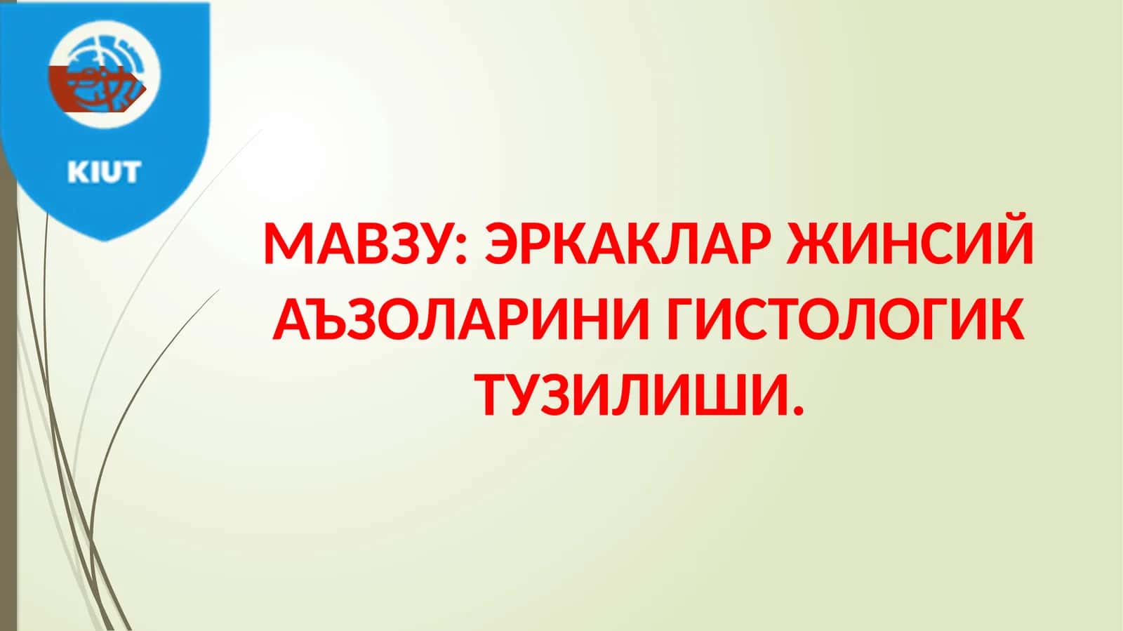ЭРКАКЛАР ЖИНСИЙ АЪЗОЛАРИНИ ГИСТОЛОГИК ТУЗИЛИШИ