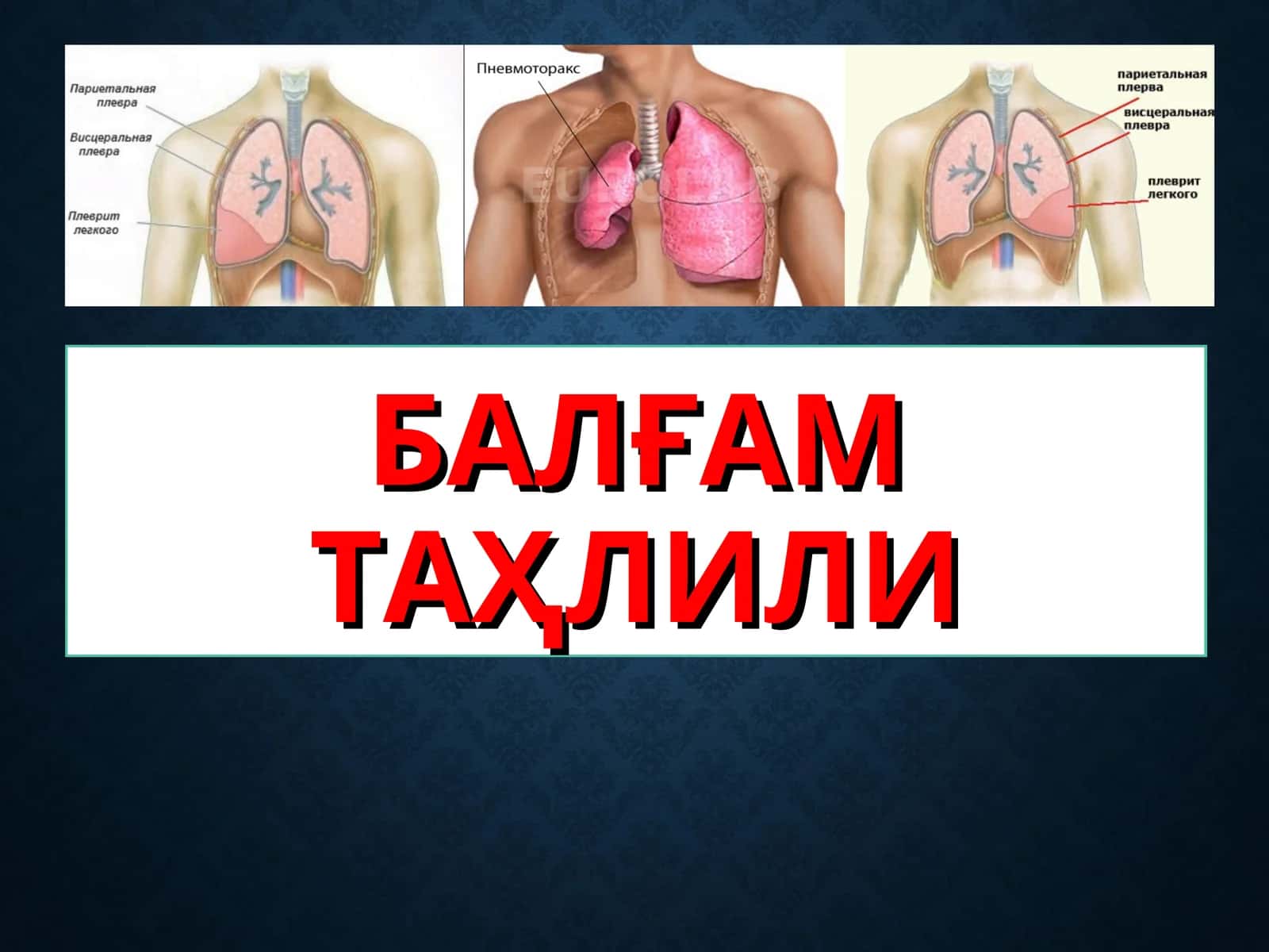 BALG'AM TAHLILI