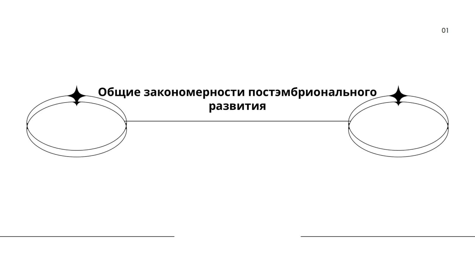 Постэмбрионал ривожланиш босқичлари