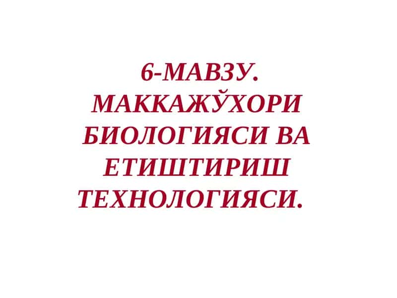 Маккажўхори биологияси ва етиштириш технологияси
