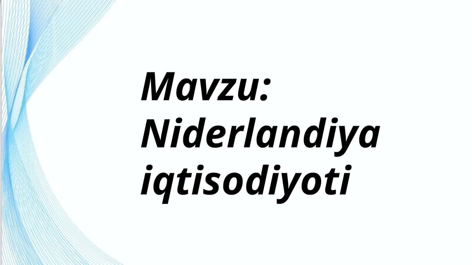 Niderlandiya iqtisodiyoti