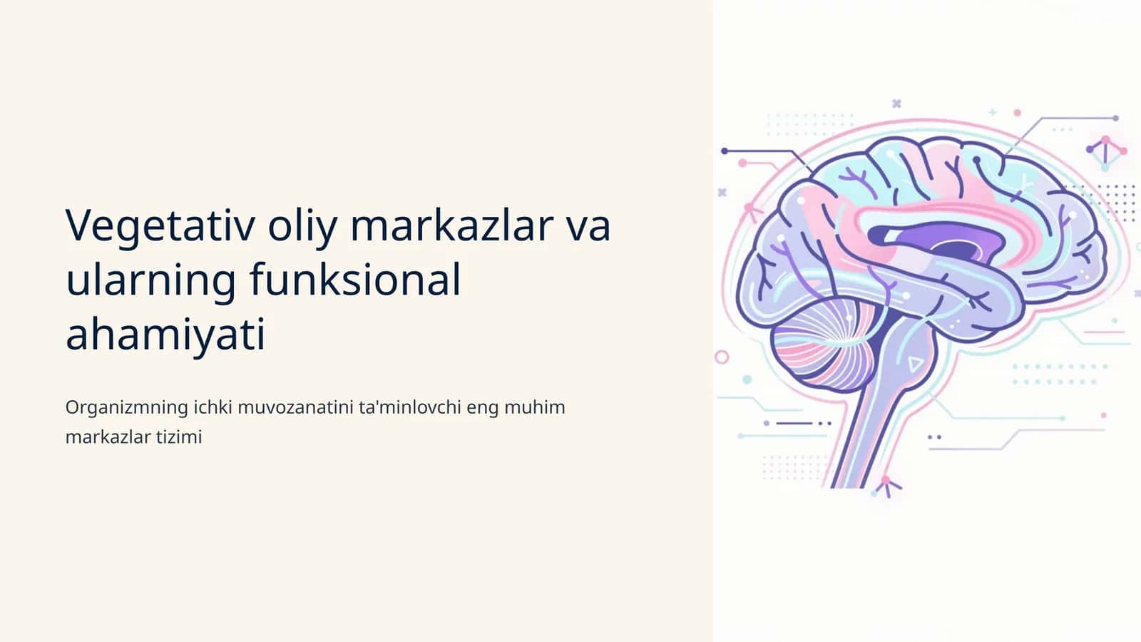 Vegetativ oliy markazlar va ularning funksional ahamiyati