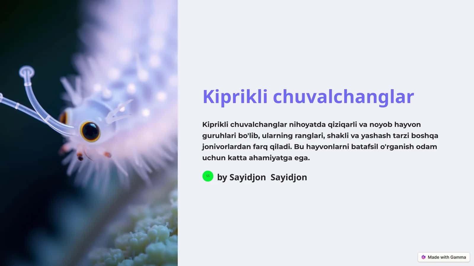 Kiprikli chuvalchanglar