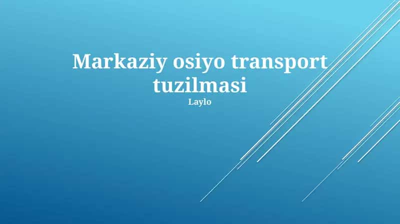 Markaziy osiyo transport tuzilmasi