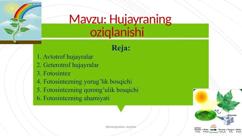 Hujayraning oziqlanishi