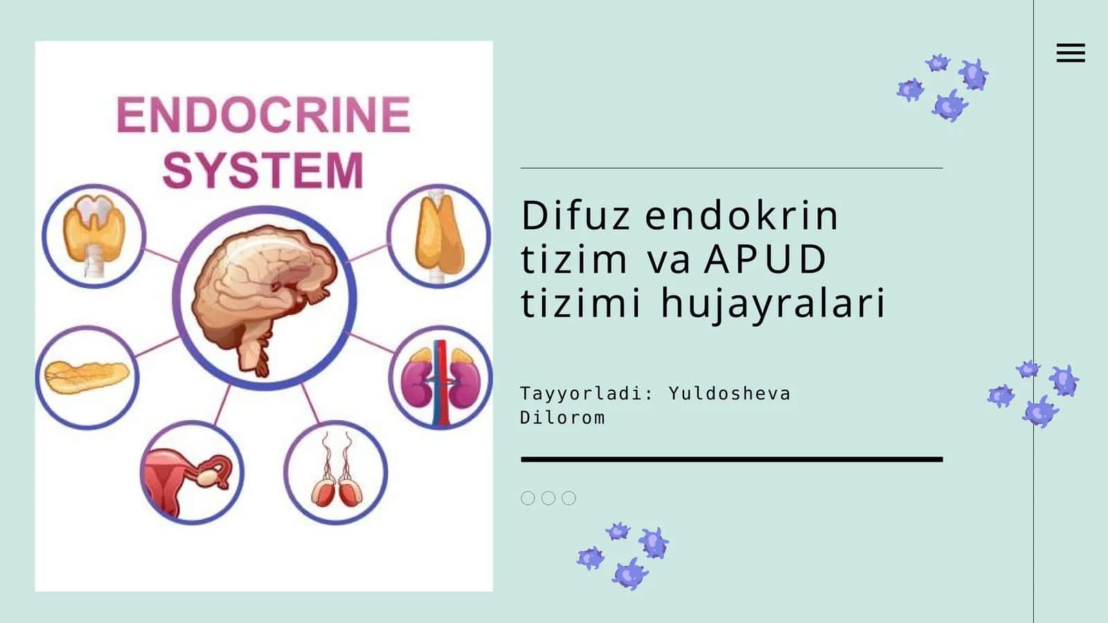DifuzendokrintizimvaAPUDtizimihujayralari