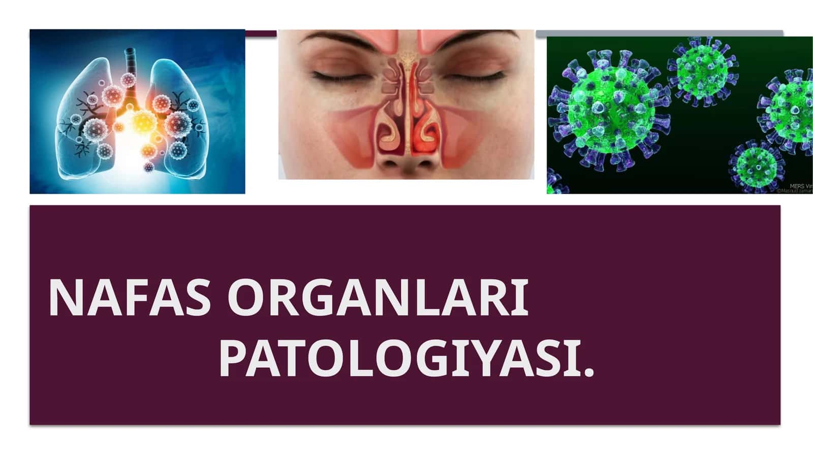 Nafas organlari patologiyasi