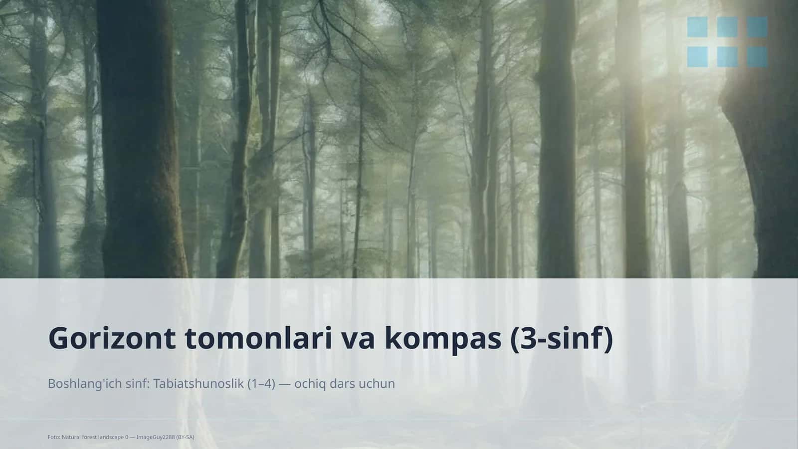 Gorizont tomonlari va kompas (3-sinf)