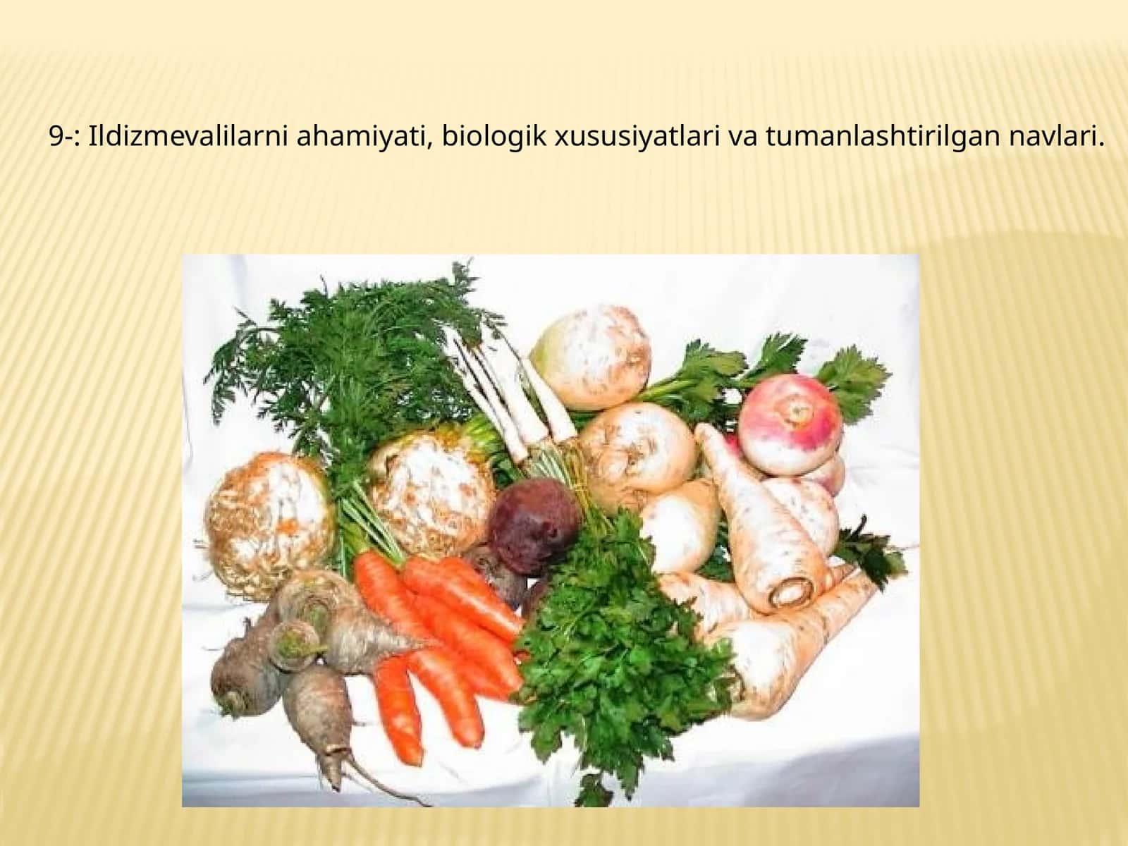 Ildizmevalilarni ahamiyati, biologik xususiyatlari va tumanlashtirilgan navlari