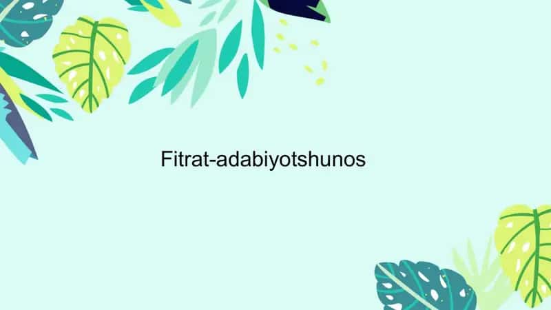 Fitrat-adabiyotshunos