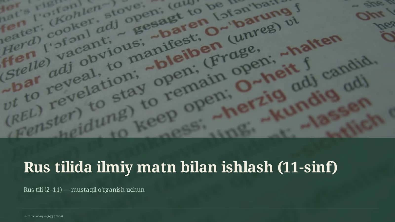 Rus tilida ilmiy matn bilan ishlash (11-sinf)