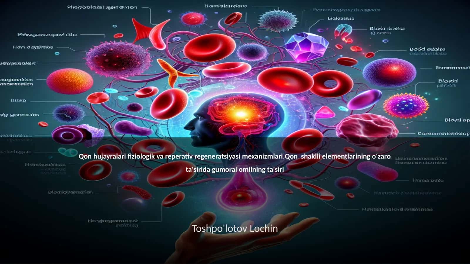 Qon hujayralari fiziologik va reperativ regeneratsiyasi mexanizmlari