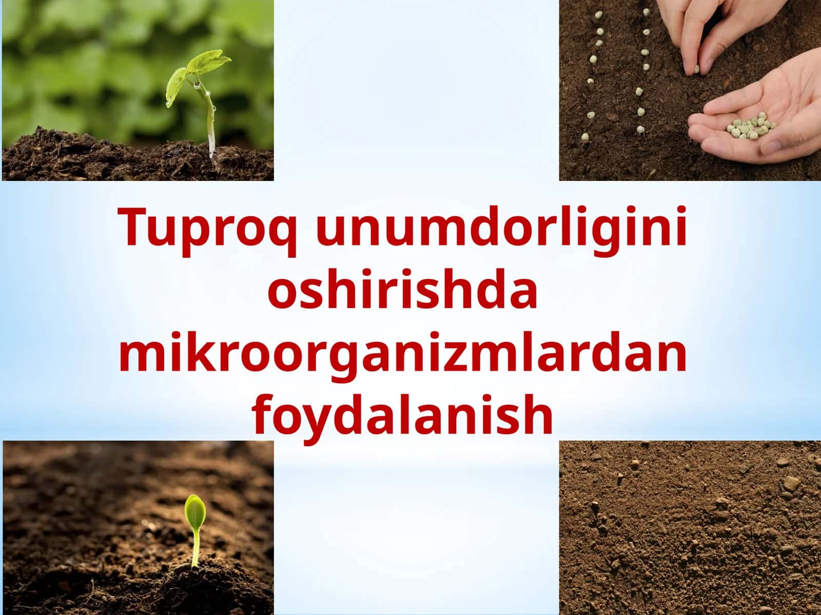 Tutuvchi mikroorganizmlar