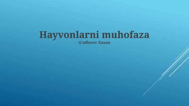 Hayvonlarni muhofaza