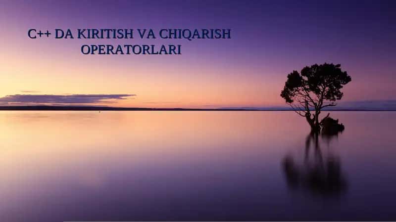 C++ DA KIRITISH VA CHIQARISH OPERATORLARI